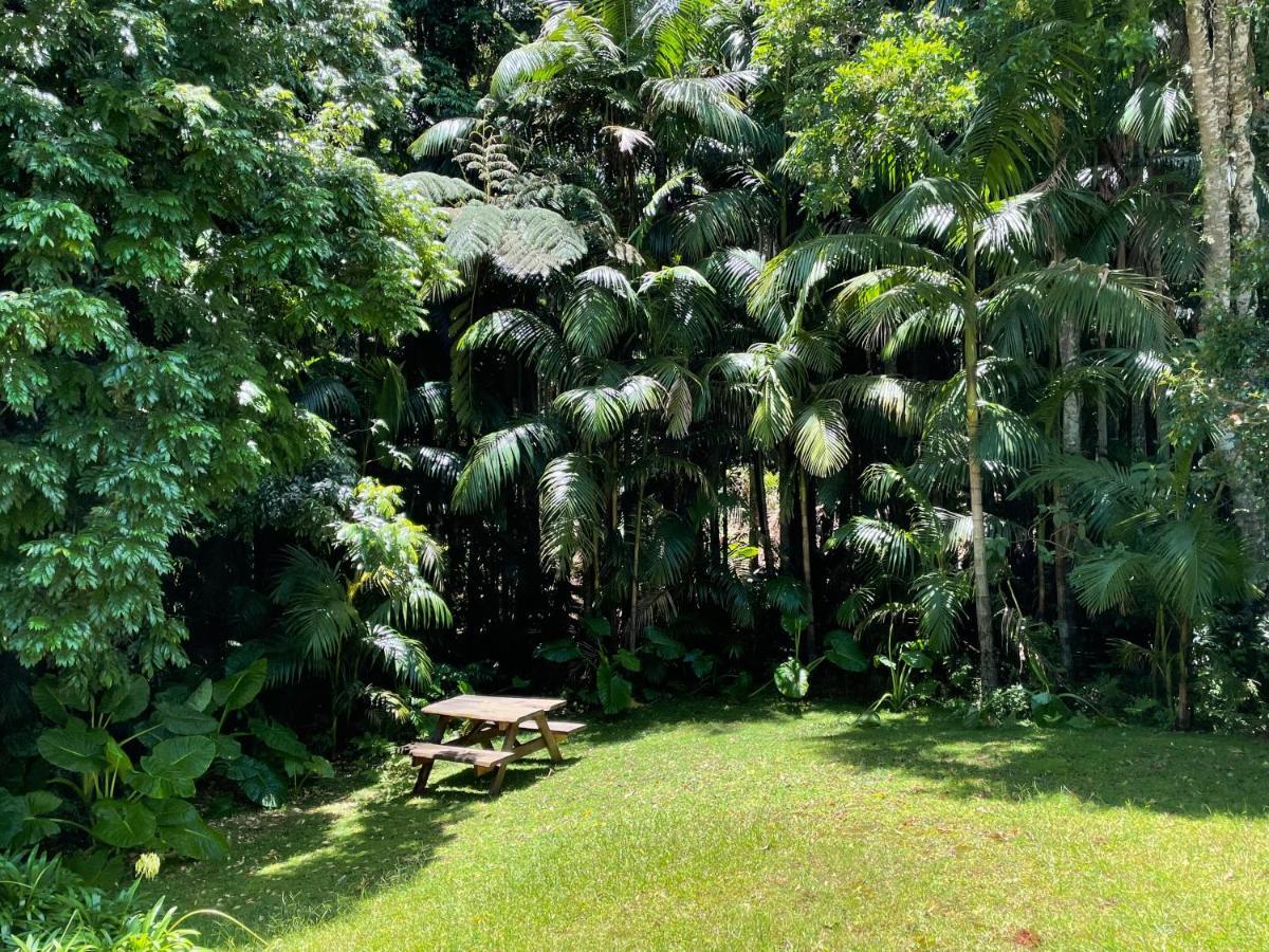 Romantic Cottage, Tamborine Mountain Esterno foto