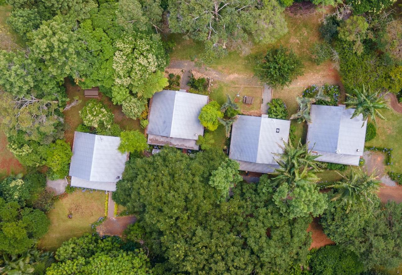 Romantic Cottage, Tamborine Mountain Esterno foto