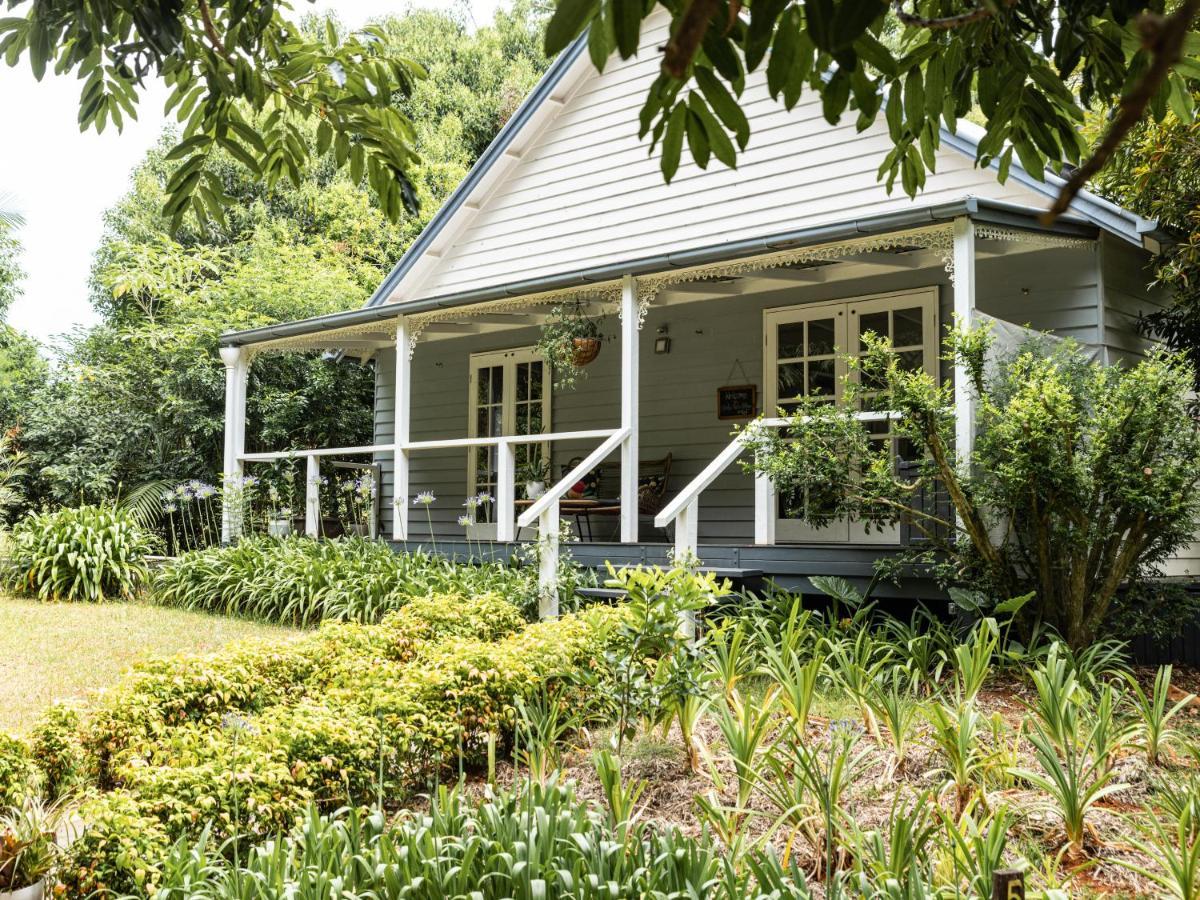Romantic Cottage, Tamborine Mountain Esterno foto